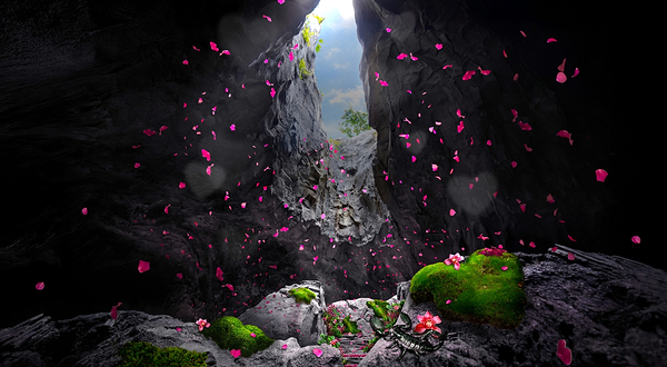 亚洲雨林探险园