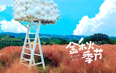 贡之源·花仙谷第 20 张图片