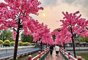 前杜草莓小镇第 2 张图片