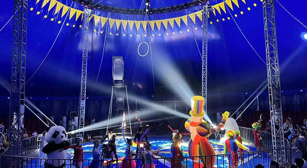 保利狂欢大马戏