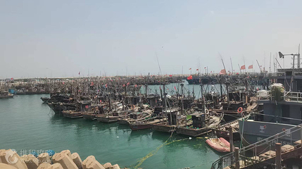 张家台码头出海捕鱼第 7 张图片