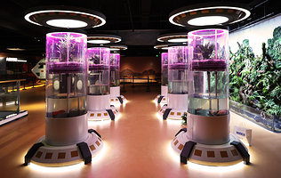 筑梦星辰(长春)航天科教文旅馆