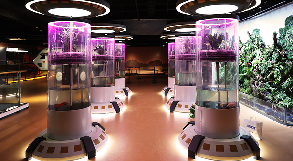 筑梦星辰(长春)航天科教文旅馆