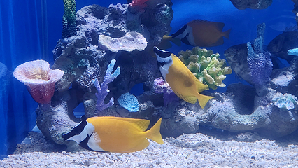 襄阳海洋世界第 51 张图片
