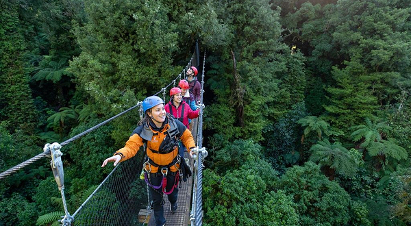 Rotorua Canopy Tours | Zipline Experience