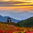 大围山国家森林公园