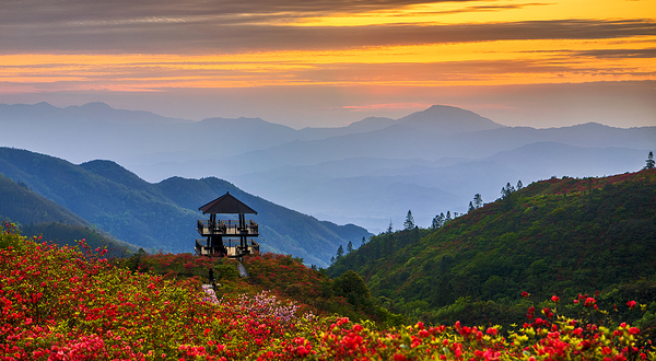 大围山国家森林公园