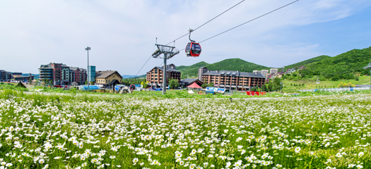 中旅松花湖度假区第 88 张图片