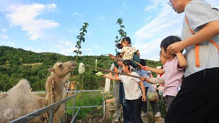 乐港火龙果农场第 8 张图片