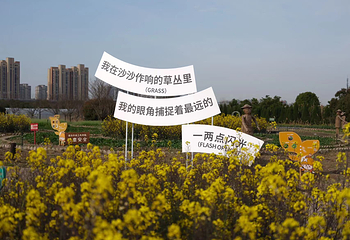 半岛田园第 21 张图片