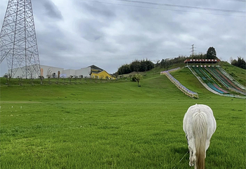 绵阳北川飞鸿滑草场第 11 张图片