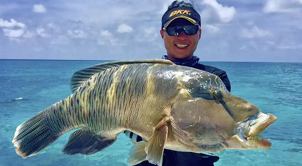 亚龙湾菠萝海钓俱乐部