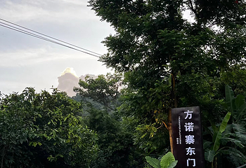 五指山方诺寨热带雨林第 15 张图片