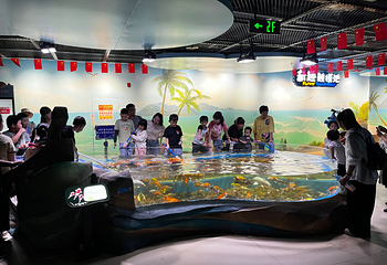 广州海洋馆第 48 张图片