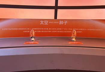 资阳艺云数字艺术中心第 17 张图片