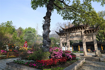 天平山第 1 张图片