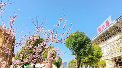 知心岛第 1 张图片