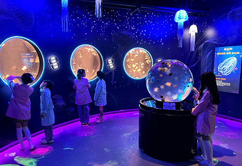 釜山SEA LIFE水族馆第 20 张图片