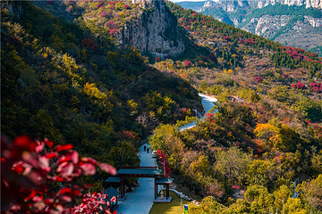 青铜山大峡谷第 94 张图片