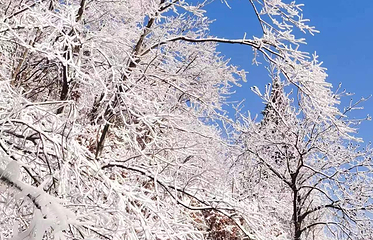 大别山滑雪旅游度假区第 24 张图片
