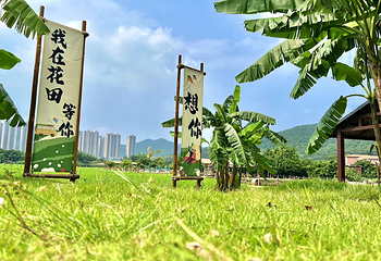 佛山花田喜事生态小镇第 11 张图片