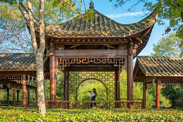 九真桃源第 16 张图片