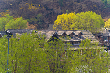 九如山休闲旅游度假区第 157 张图片