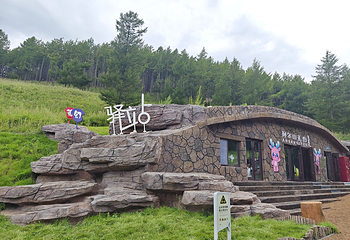 阿尔山氧心森林浴道景区第 2 张图片