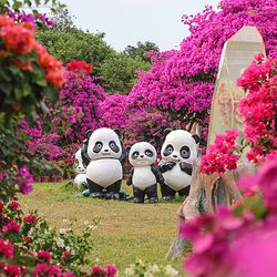 千花洲生态景区