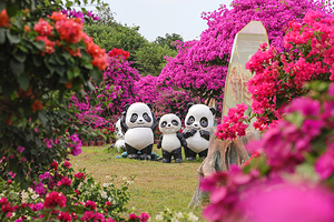 千花洲生态景区