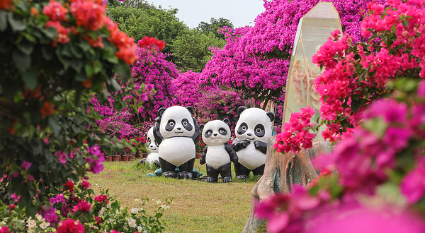 千花洲生态景区