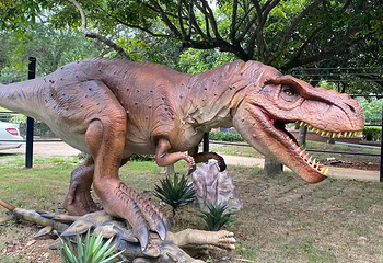 古生物奇幻乐园第 18 张图片