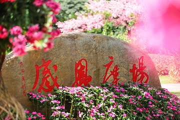 观音山旅游风景区第 85 张图片