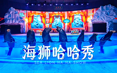 上海海昌海洋公园第 7 张图片