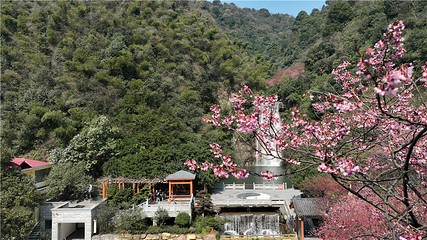 王仙岭旅游风景区第 27 张图片