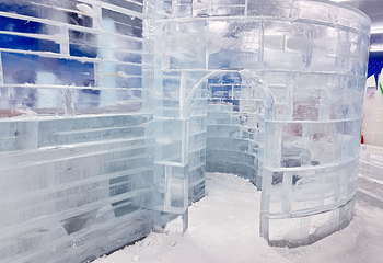 比奇堡冰雪海洋馆(二七广场馆)第 21 张图片