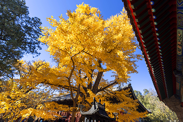 红螺寺第 127 张图片