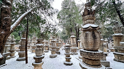 灵岩寺第 55 张图片