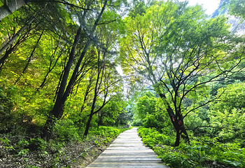 太行龙泉旅游区第 11 张图片