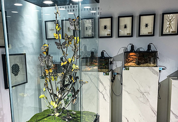 策大师|了不起的艺术大师·从莫奈到梵高艺术装置展第 5 张图片