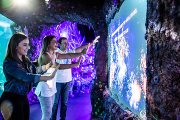 悉尼水族馆第 12 张图片