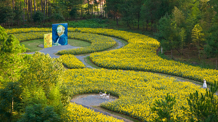 神仙花谷乐园第 4 张图片