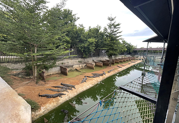 鳄珍鳄鱼园第 29 张图片