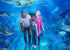 国家海洋生物中心