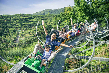 铁定溜溜第 9 张图片