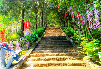 龟山景区(龟山望龙洞风景区)第 24 张图片