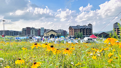 中旅松花湖度假区第 104 张图片