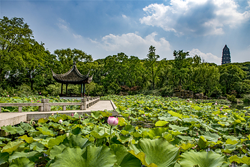 虎丘山风景名胜区第 61 张图片