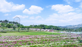 花海乐园
