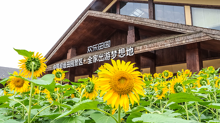黄龙溪欢乐田园第 44 张图片